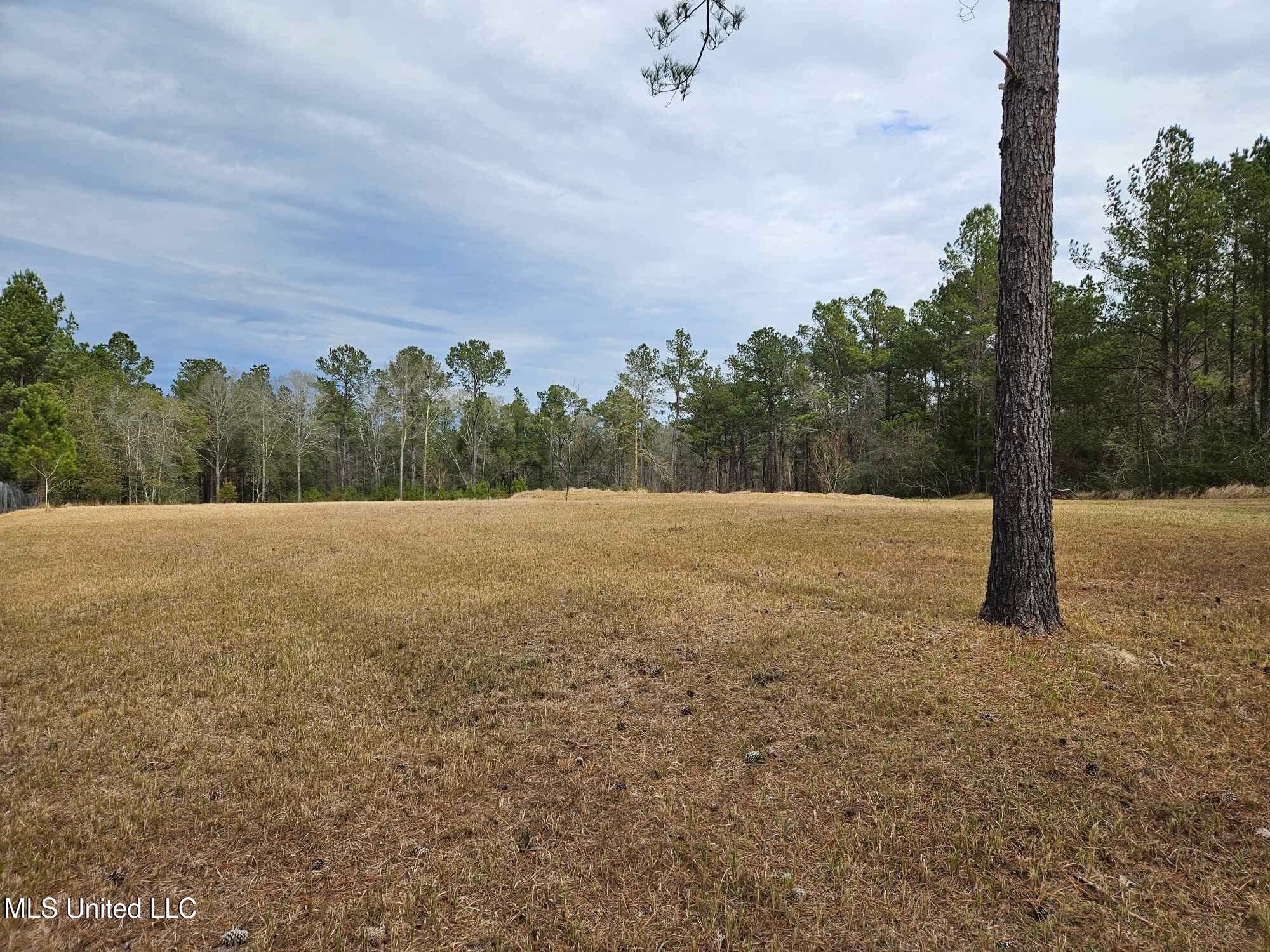 46 Presley Drive Wiggins, MS 39577 - Photo 3 of 18 7a8463c5f42ac0dd190bcb1bc2398ae5