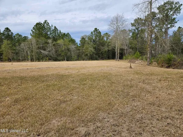 $55,000 | 46 Presley Drive, Wiggins, MS 39577