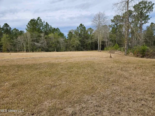 $55,000 | 46 Presley Drive, Wiggins, MS 39577