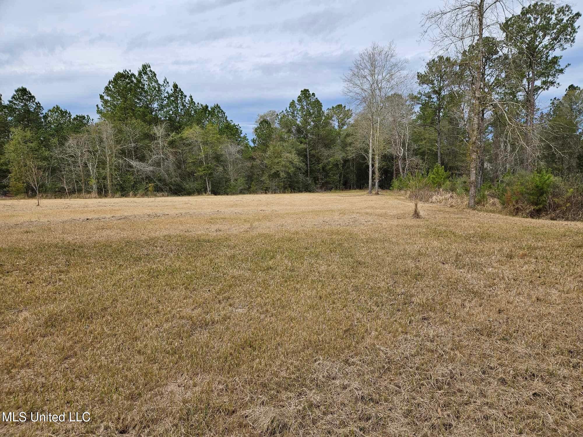 46 Presley Drive Wiggins, MS 39577 - Photo 4 of 18 6cbd8121657068620f5de33afe9f4a83