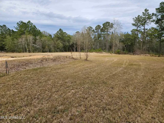 $55,000 | 46 Presley Drive, Wiggins, MS 39577