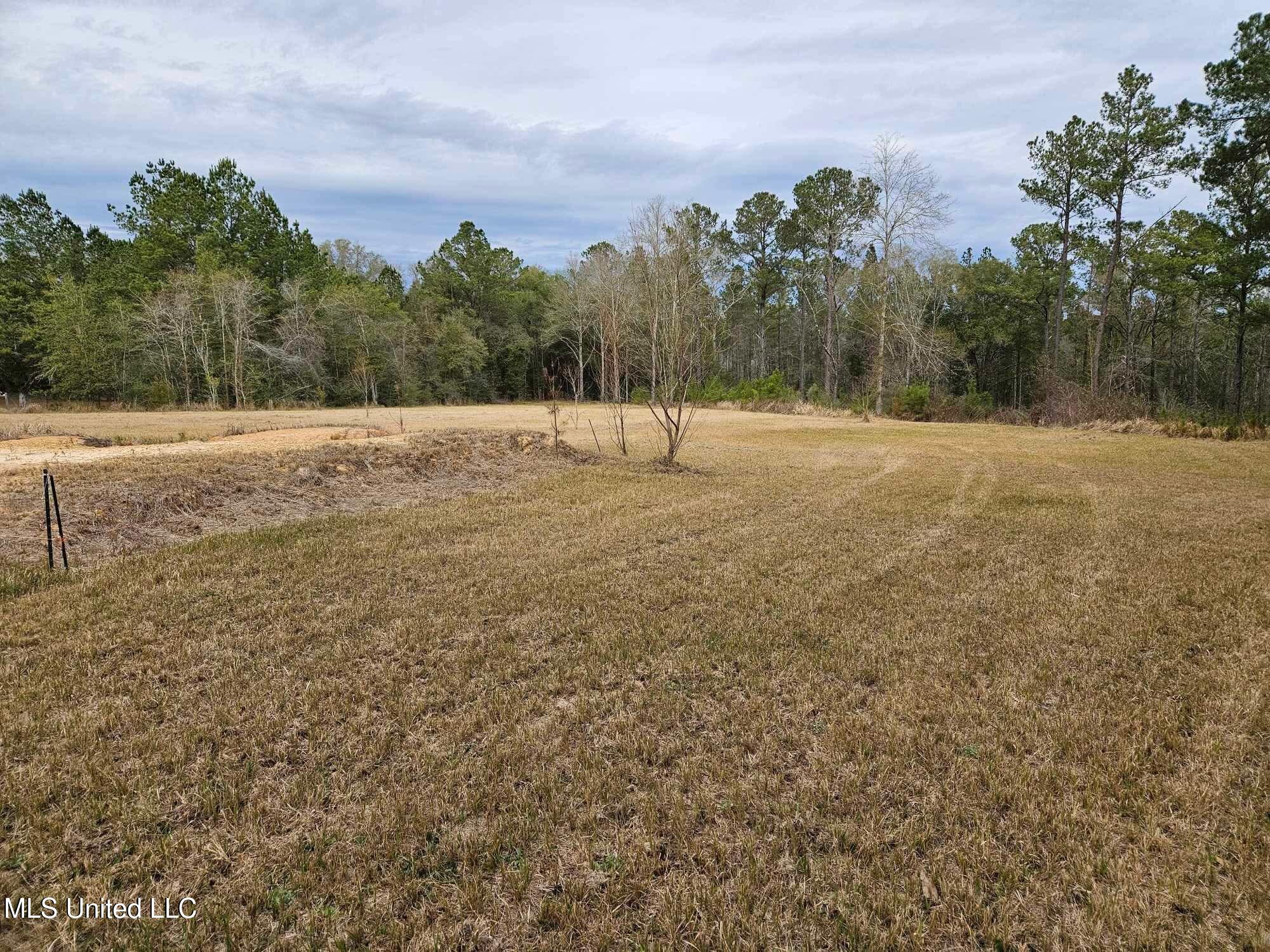 46 Presley Drive Wiggins, MS 39577 - Photo 5 of 18 6c99f68b4ae8a711ac635469252ec4de