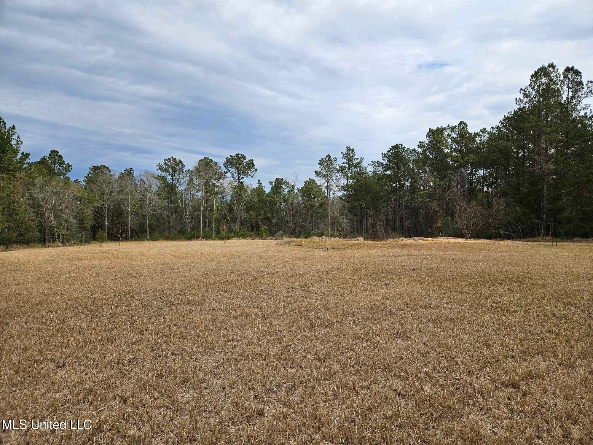 46 Presley Drive Wiggins, MS 39577 - Photo 7 of 18 9ae14917691c4b39f7bc3500661925b4