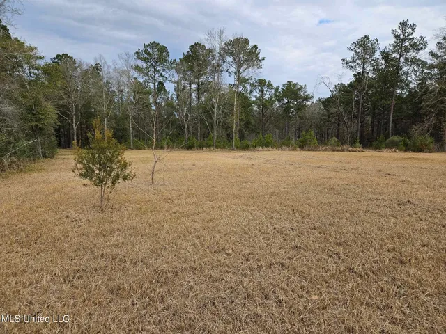 $55,000 | 46 Presley Drive, Wiggins, MS 39577