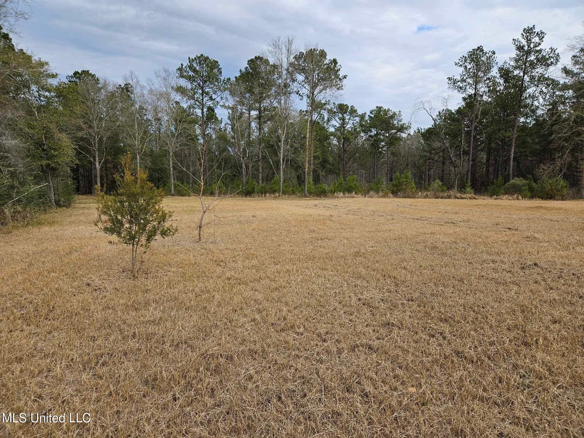 46 Presley Drive Wiggins, MS 39577 - Photo 8 of 18 c5ffab2b7c7acf0e72f5bd00df5cc0b4