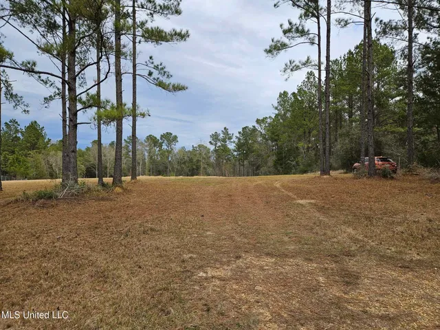 $55,000 | 46 Presley Drive, Wiggins, MS 39577