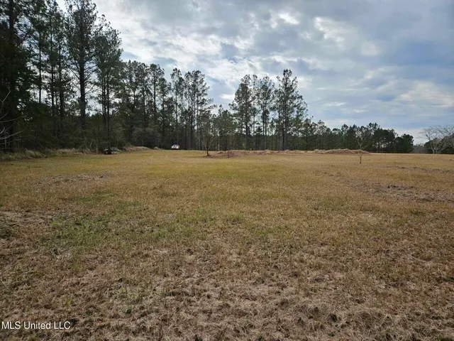 $55,000 | 46 Presley Drive, Wiggins, MS 39577