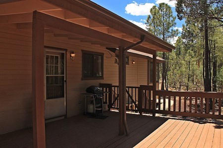 3351 Timber Drive Lakeside, AZ 85929 - Photo 21 of 24