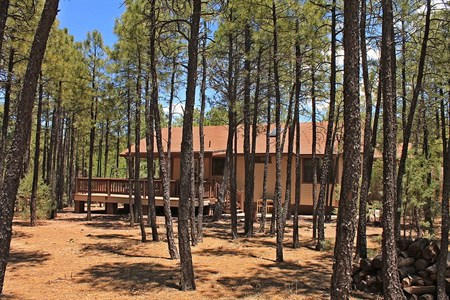 3351 Timber Drive Lakeside, AZ 85929 - Photo 22 of 24
