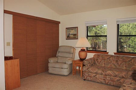 3351 Timber Drive Lakeside, AZ 85929 - Photo 9 of 24