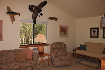 3351 Timber Drive Lakeside, AZ 85929 - Photo 10 of 24