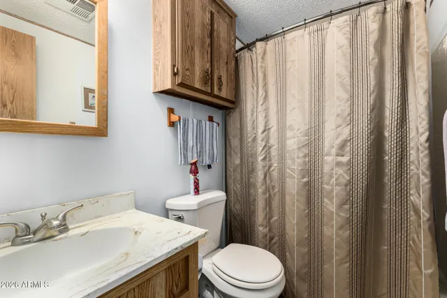 a bathroom with a sink a toilet and shower curtain