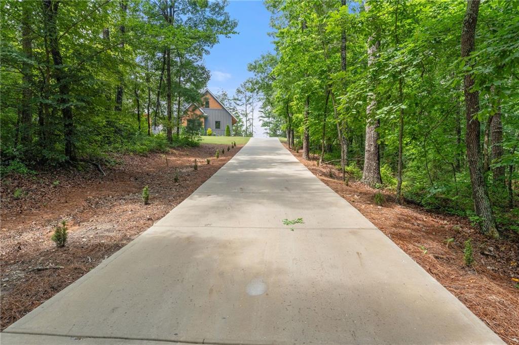 445 Knox Bridge Trail Canton, GA 30114 - Photo 3 of 54