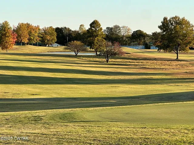 a view of ocean and trees