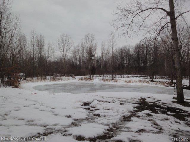 42675 Judd Road Belleville, MI 48111 - Photo 11 of 11 POND