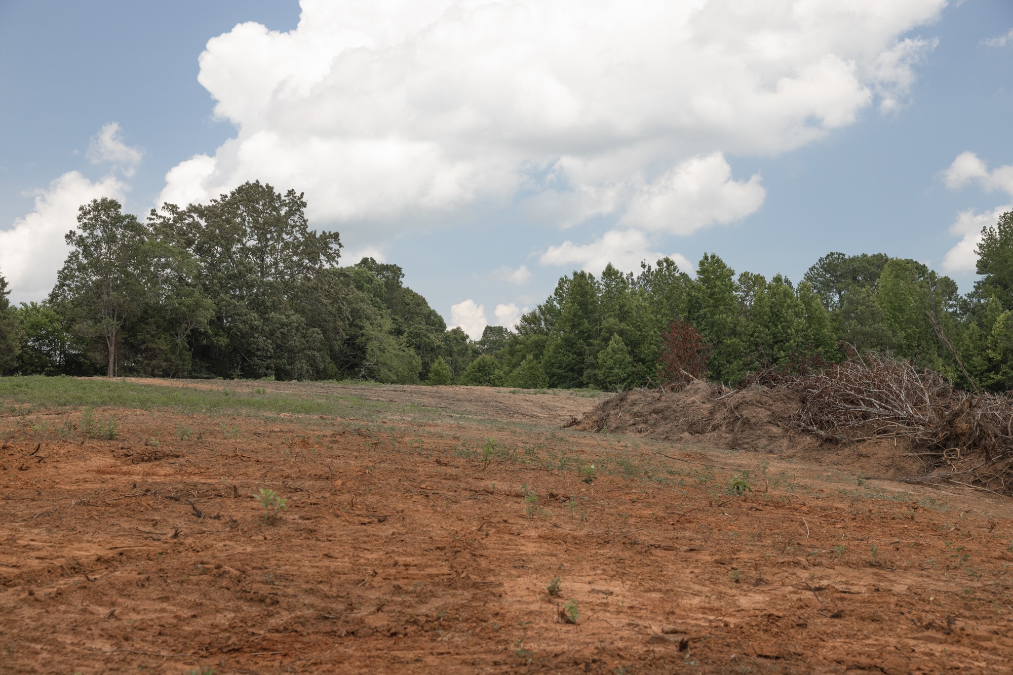 0 Brewer Road Camden, TN 38320 - Photo 12 of 44 a view of dirt field with large trees