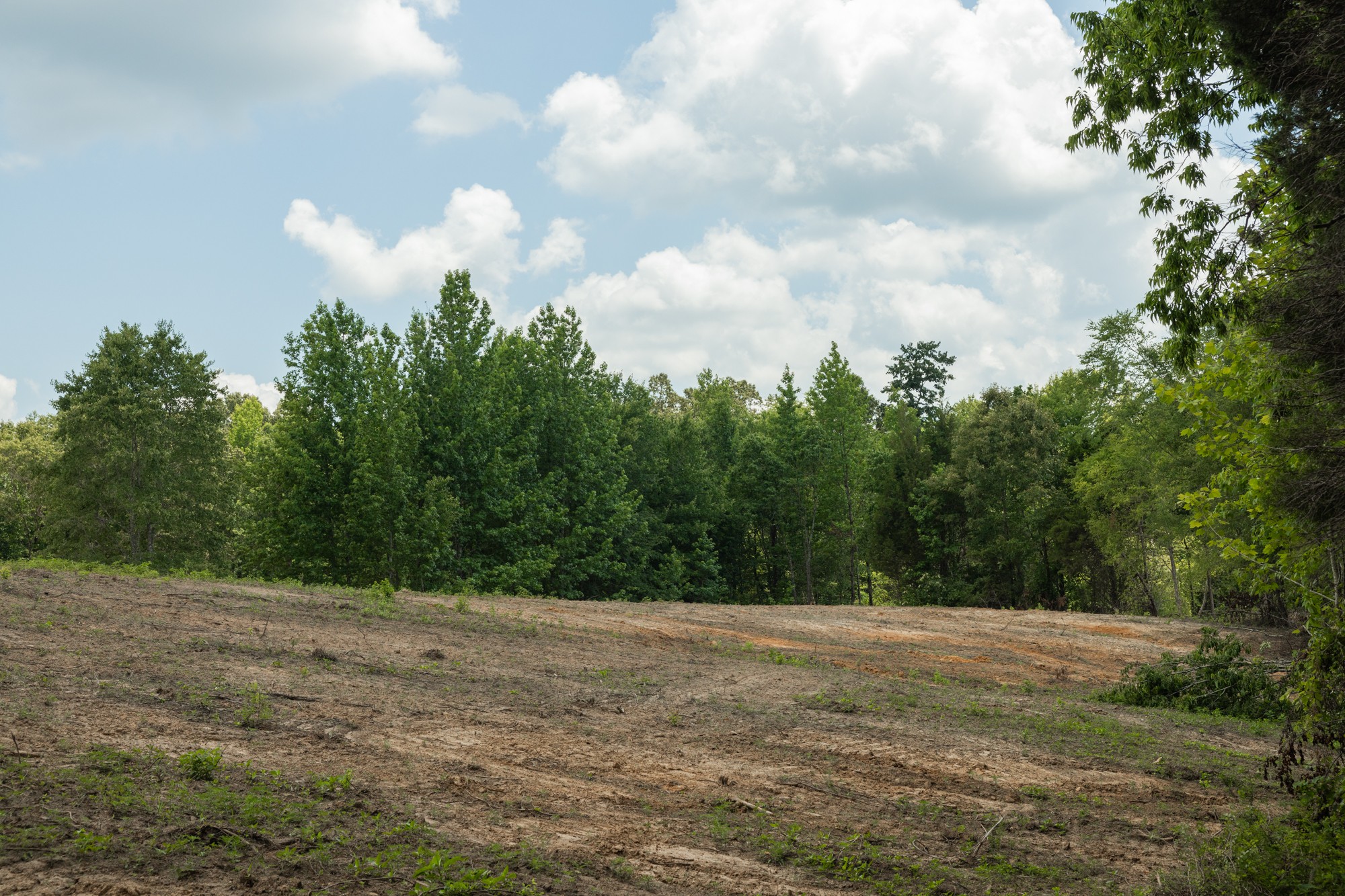0 Brewer Road Camden, TN 38320 - Photo 14 of 44 a view of a yard