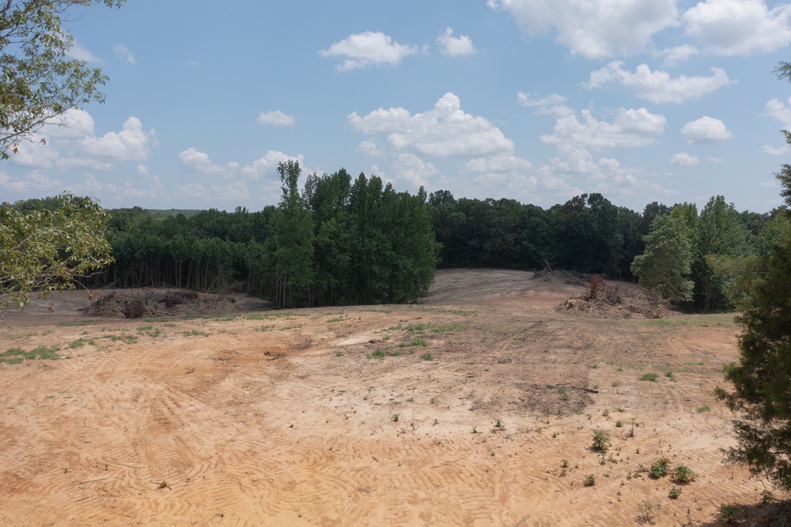 0 Brewer Road Camden, TN 38320 - Photo 21 of 44 a view of a dry yard with trees