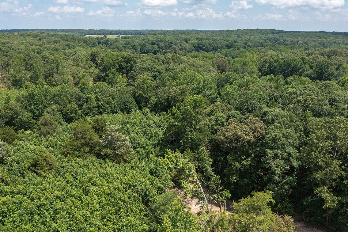 0 Brewer Road Camden, TN 38320 - Photo 29 of 44 a view of a field with a tree