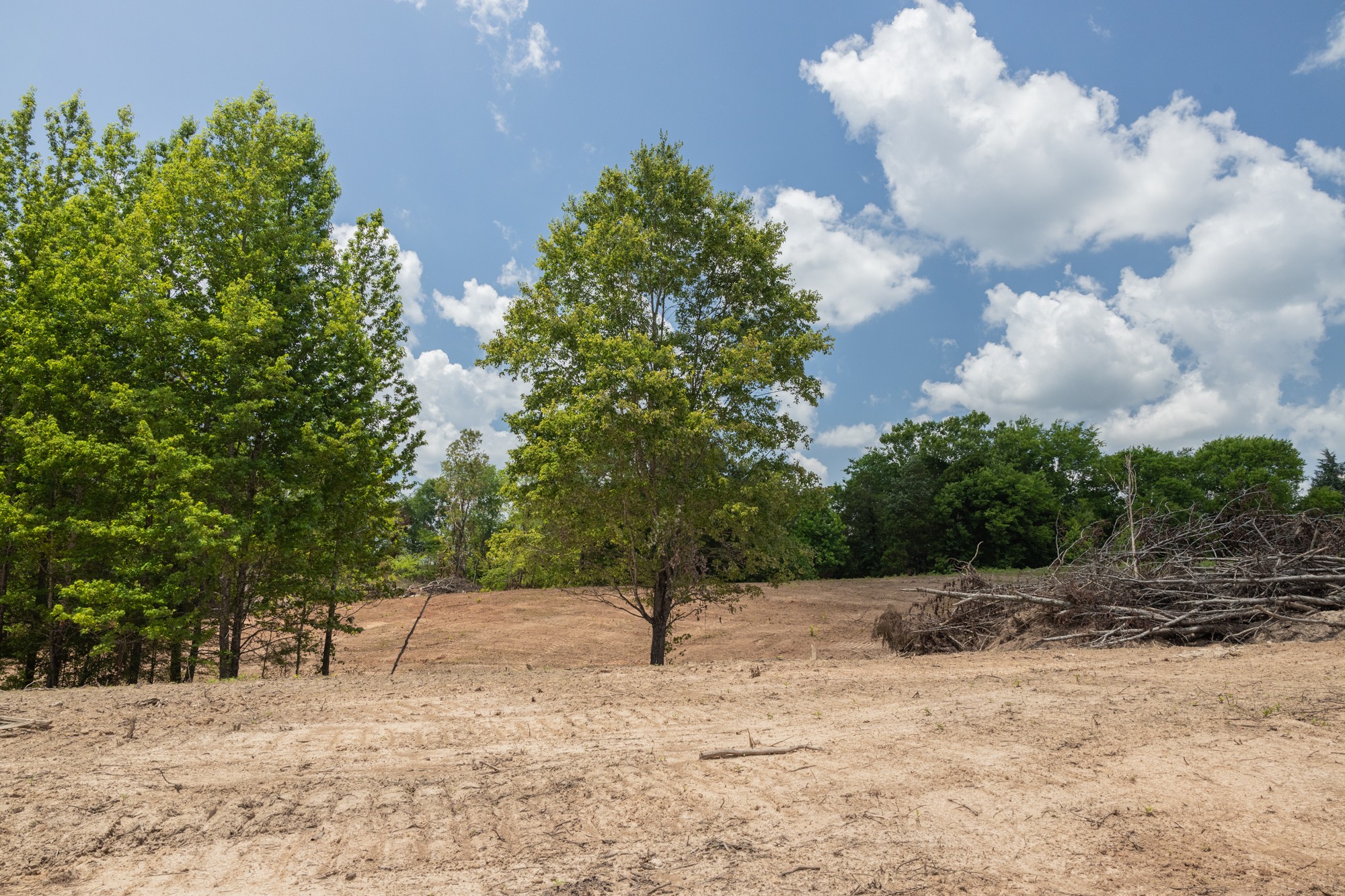 0 Brewer Road Camden, TN 38320 - Photo 3 of 44 a view of backyard with green space