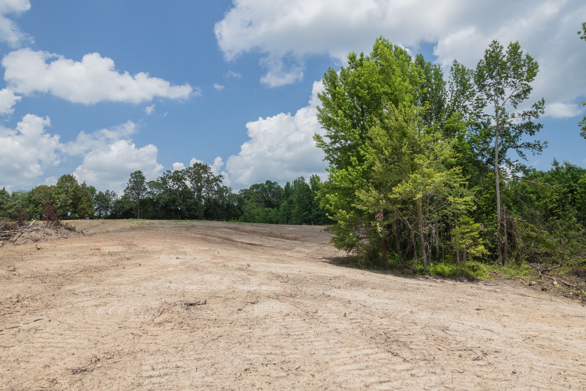0 Brewer Road Camden, TN 38320 - Photo 4 of 44 a view of a yard with plants and a trees