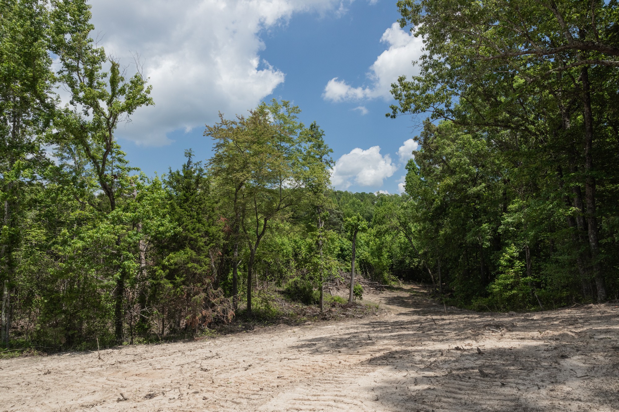 0 Brewer Road Camden, TN 38320 - Photo 5 of 44 a view of a backyard of the house
