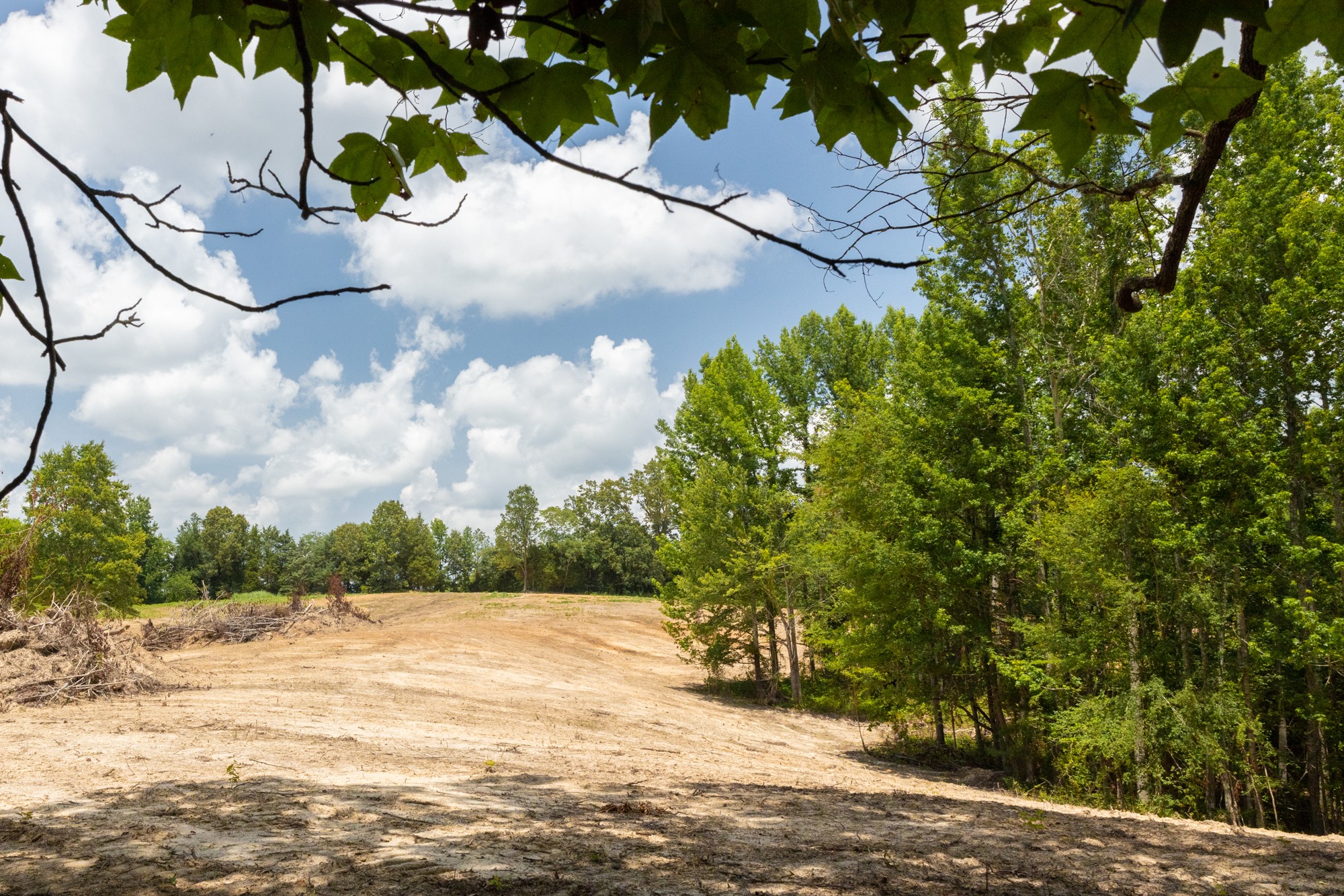 0 Brewer Road Camden, TN 38320 - Photo 6 of 44 a view of a yard