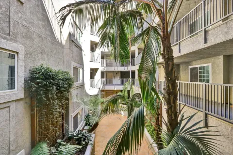 a view of a palm trees in front of a house