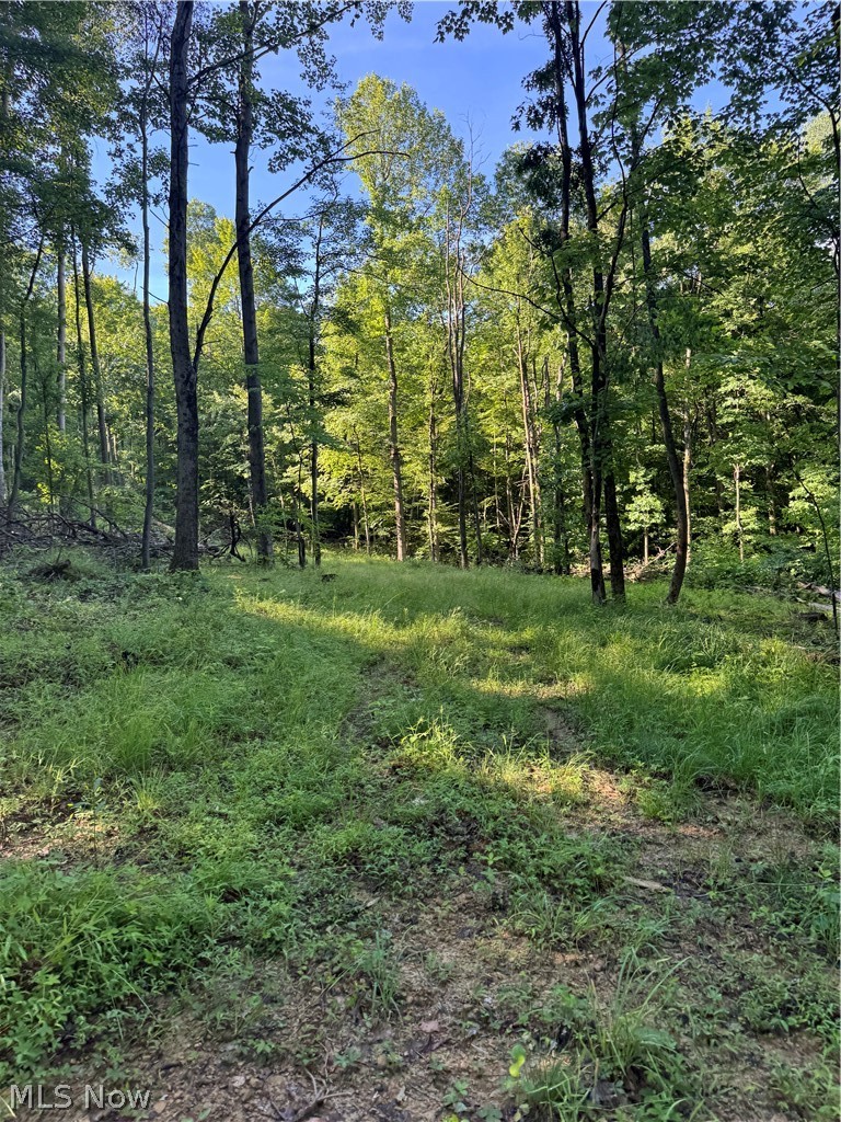 Stone Quarry Road Danville, OH 43014 - Photo 24 of 50