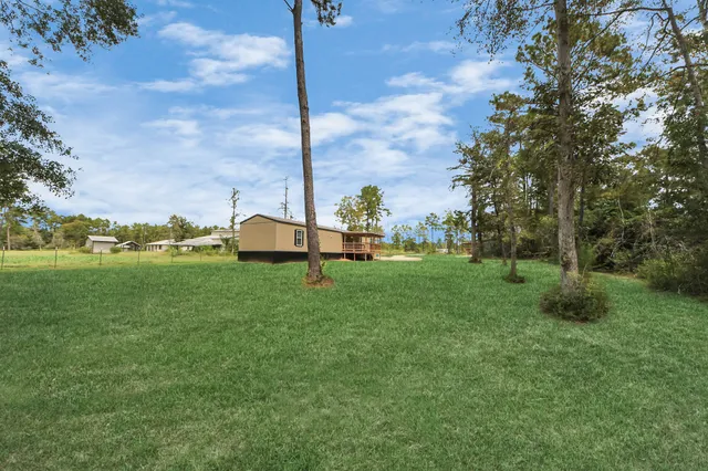 a front view of a garden with plants
