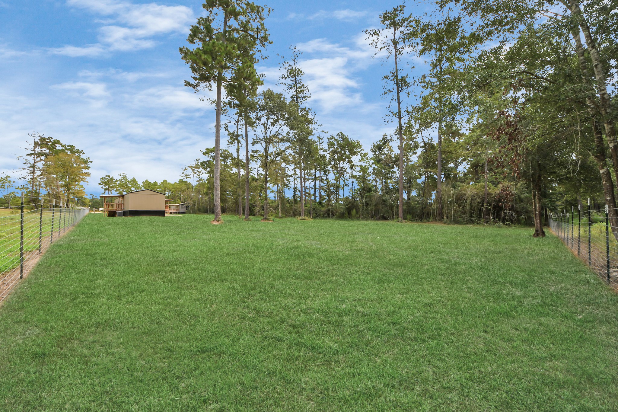 1560 Brown Road Willis, TX 77378 - Photo 26 of 28 a view of a garden