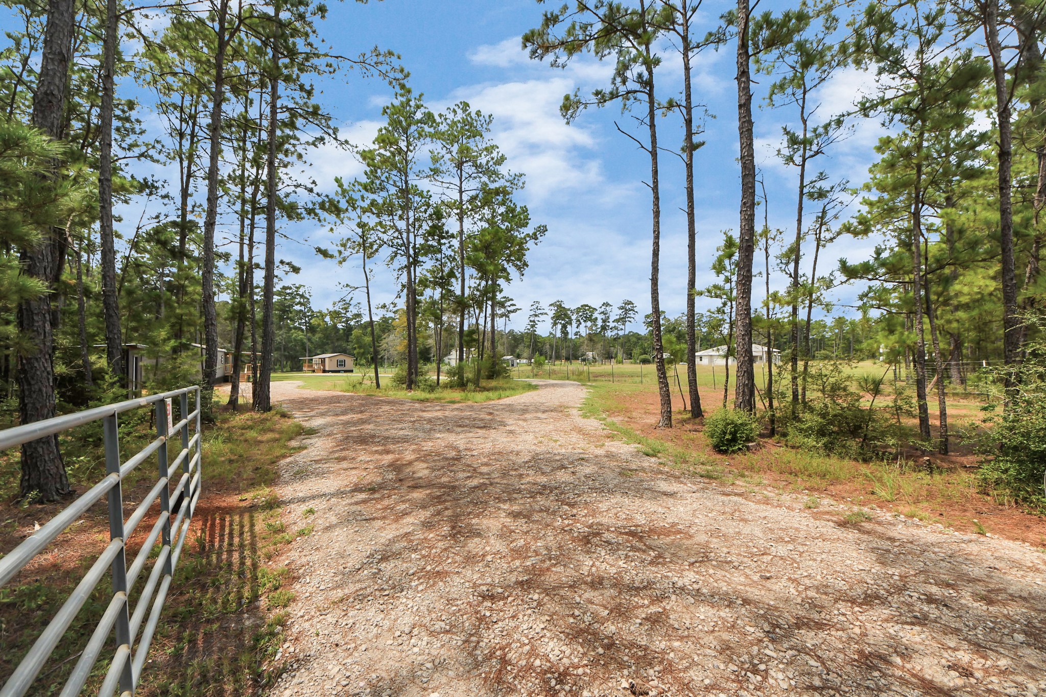 1560 Brown Road Willis, TX 77378 - Photo 28 of 28 a view of a yard with swimming pool