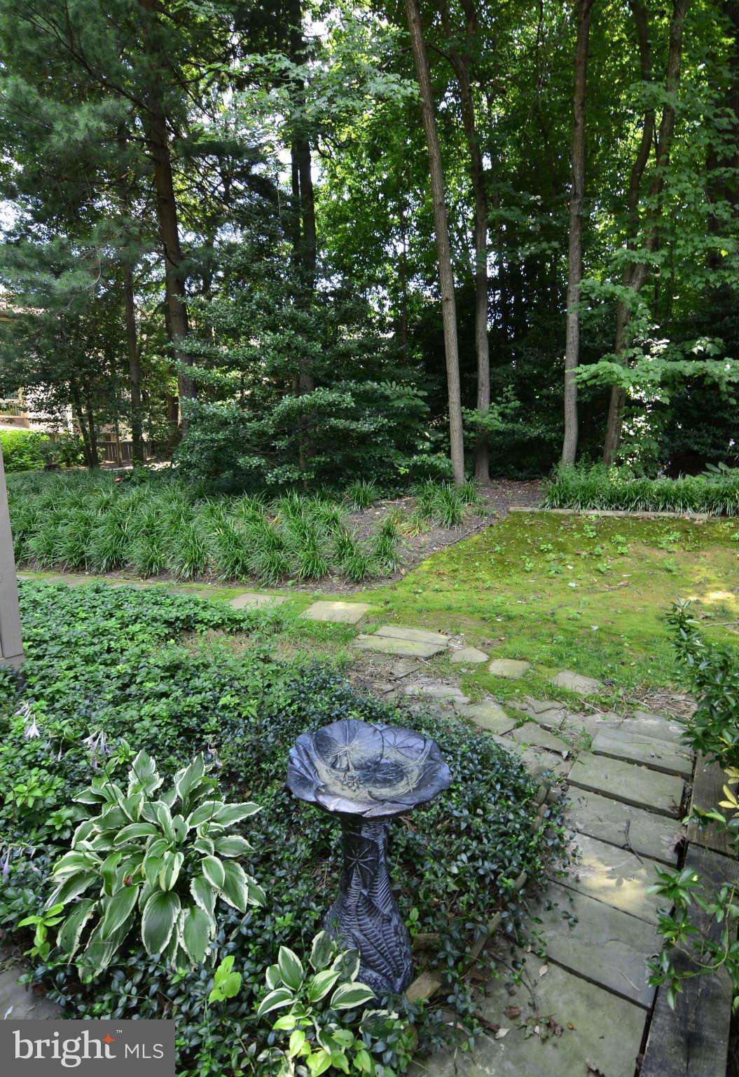 11703 Newbridge Court Reston, VA 20191 - Photo 2 of 25 Lush and private patio