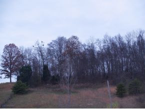 1782 Fairview Road, Unit 2 Afton, TN 37616 - Photo 2 of 2 Photo 2