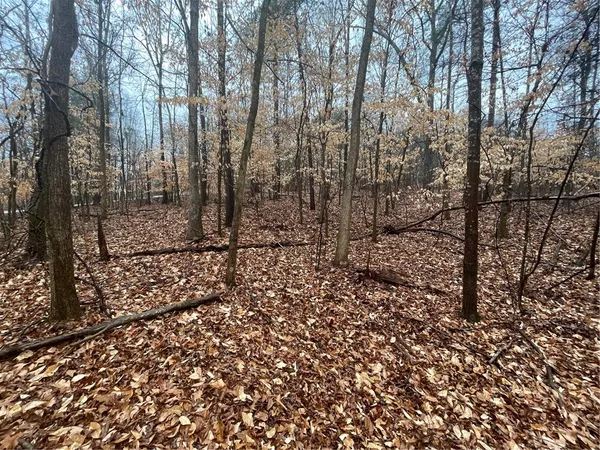$19,500 | Lot 942 Birdie Court, Westminster, SC 29693