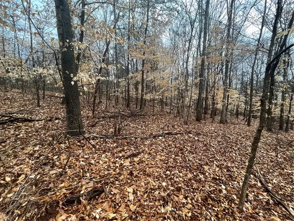 $19,500 | Lot 942 Birdie Court, Westminster, SC 29693