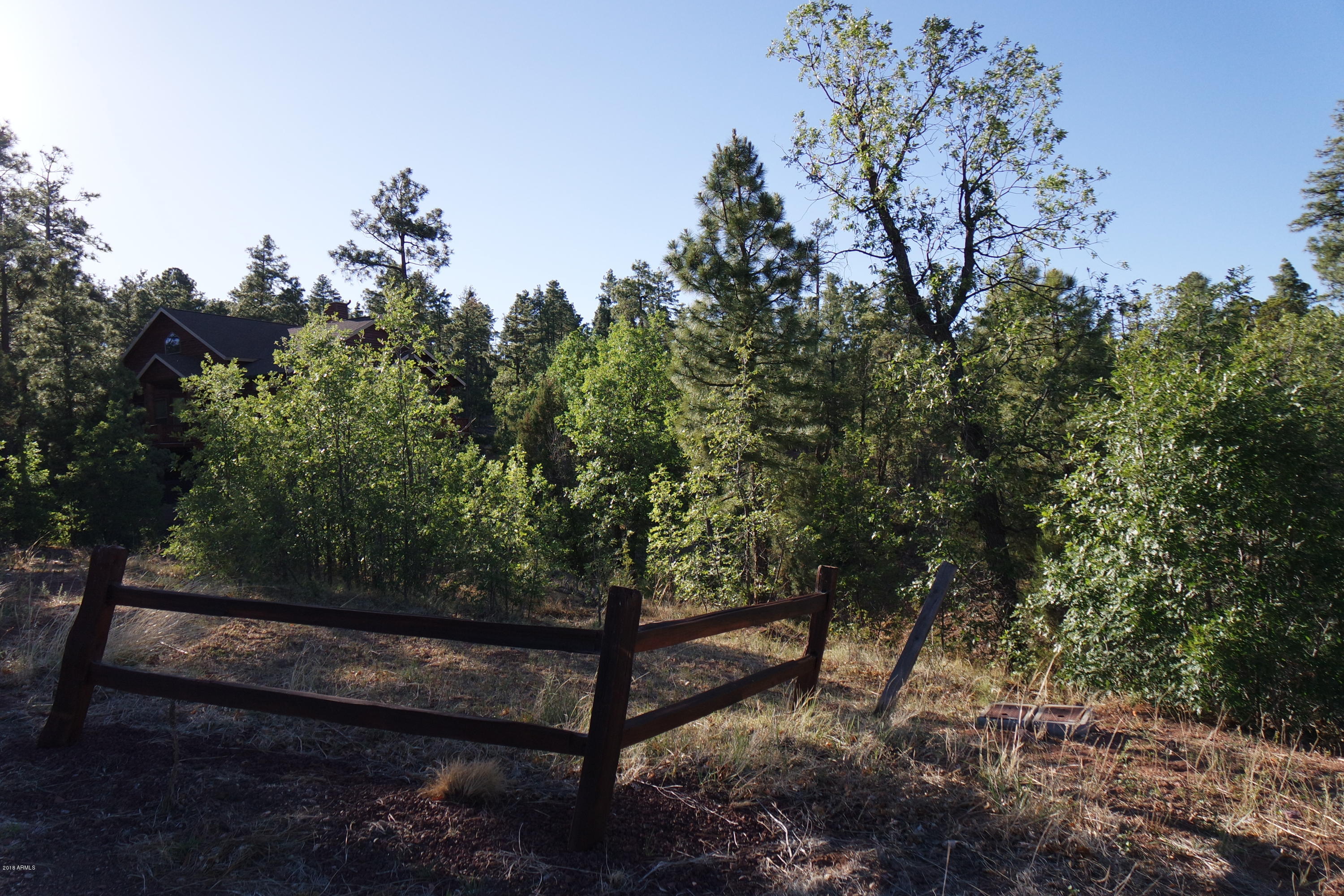 6017 Rim Road, Unit 63 Show Low, AZ 85901 - Photo 5 of 8 Surrounded by Nature (2)