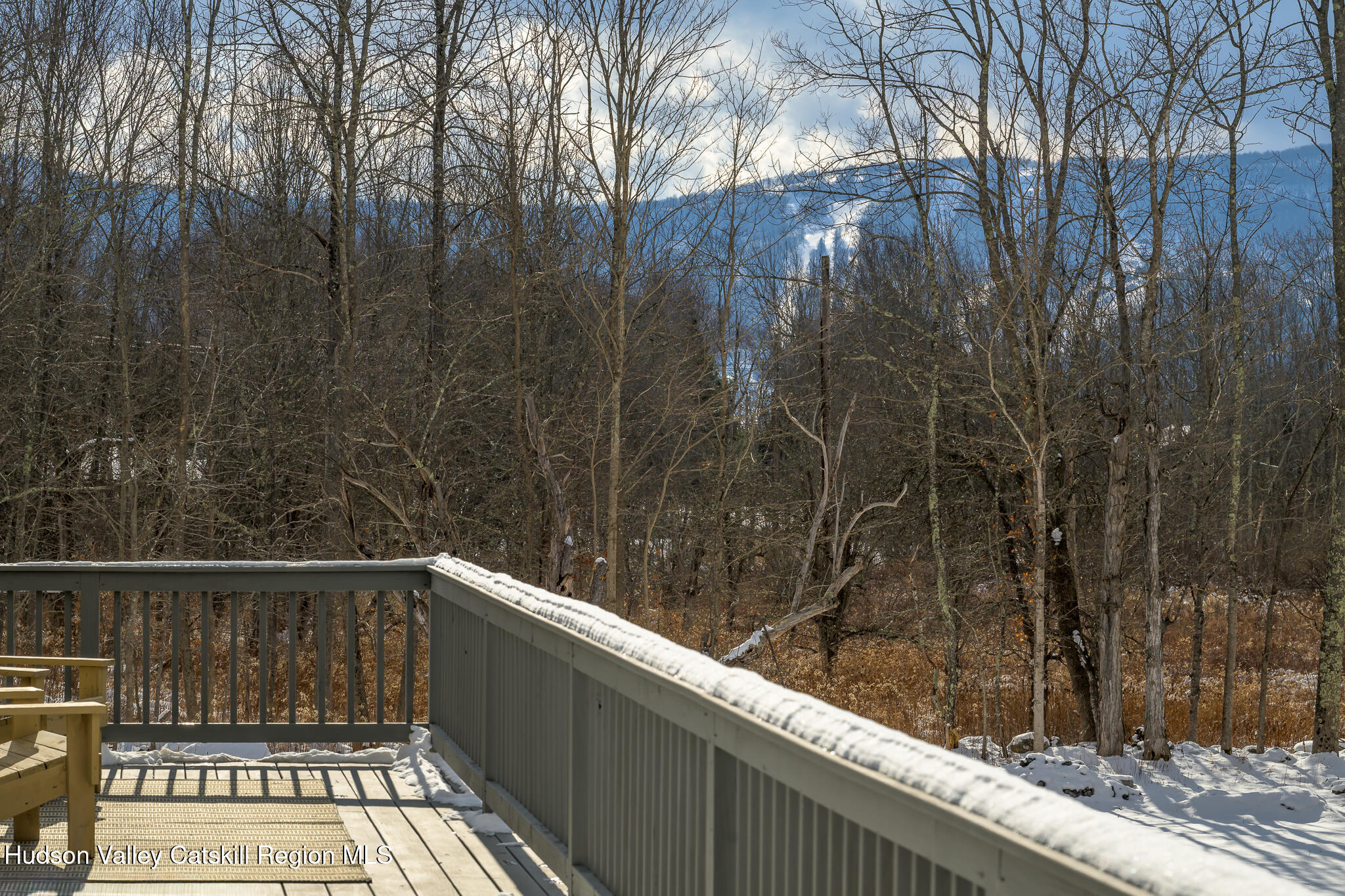 305 Mitchell Hollow Road Windham, NY 12496 - Photo 37 of 39 a view of balcony with small yard