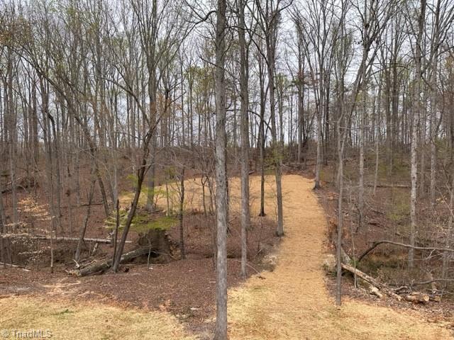 8610 Yvonne Court, Unit 15 Oak Ridge, NC 27310 - Photo 8 of 41