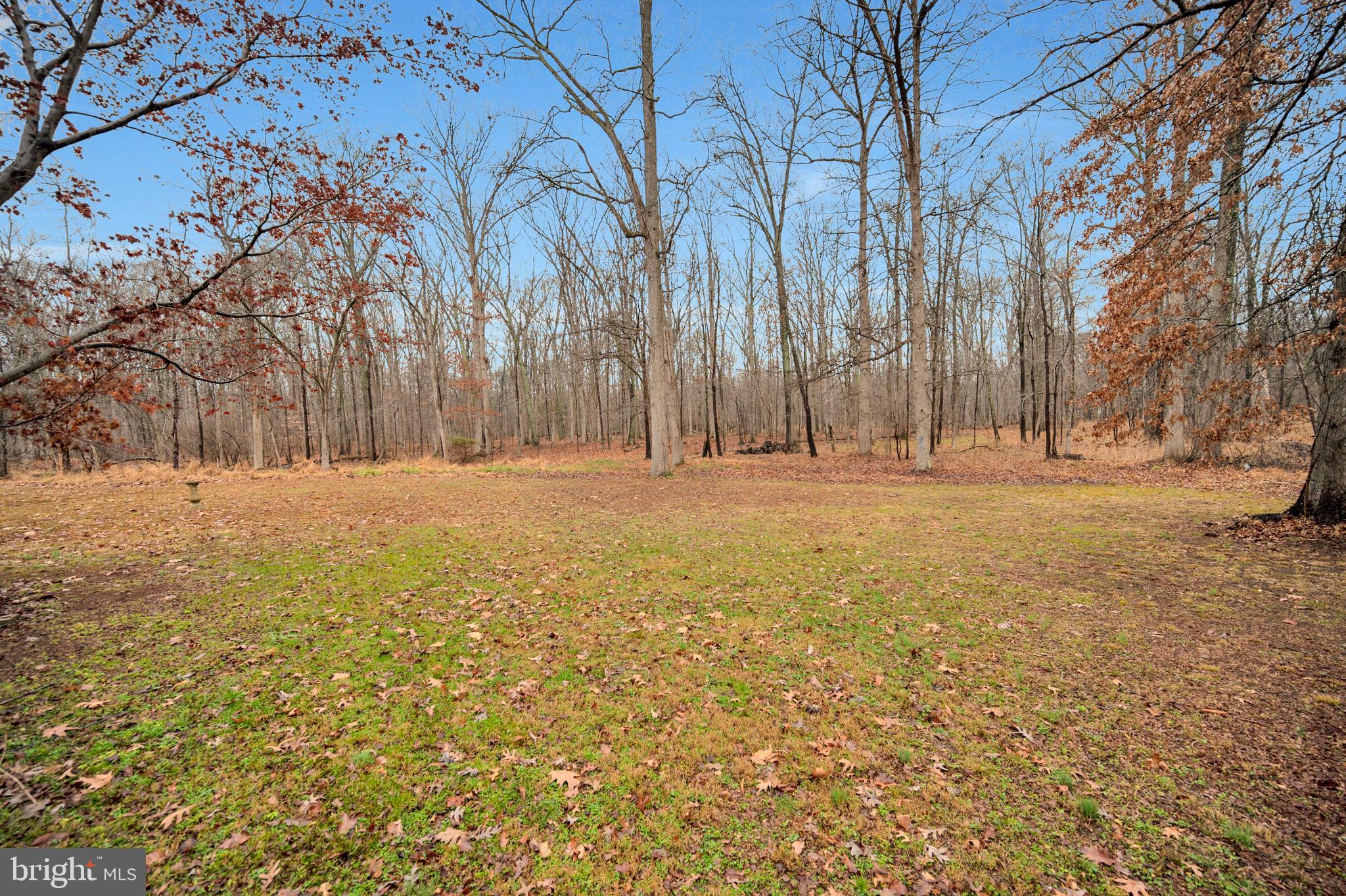 16504 Gaines Road Broad Run, VA 20137 - Photo 14 of 48 Gallery Image 14