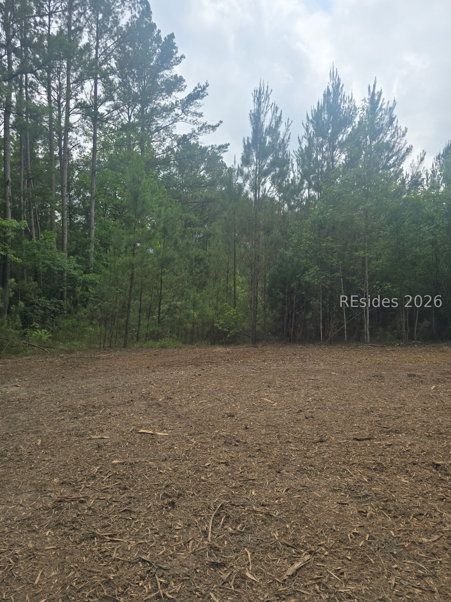 Tbd Firetower Road Ridgeland, SC 29936 - Photo 17 of 17