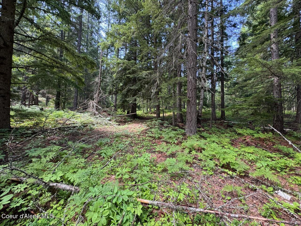 Nna Rolling Thunder Ridge Road Sandpoint, ID 83864 - Photo 15 of 37 .
