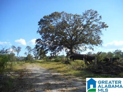 5625 County Road 754 Clanton, AL 35045 - Photo 10 of 10
