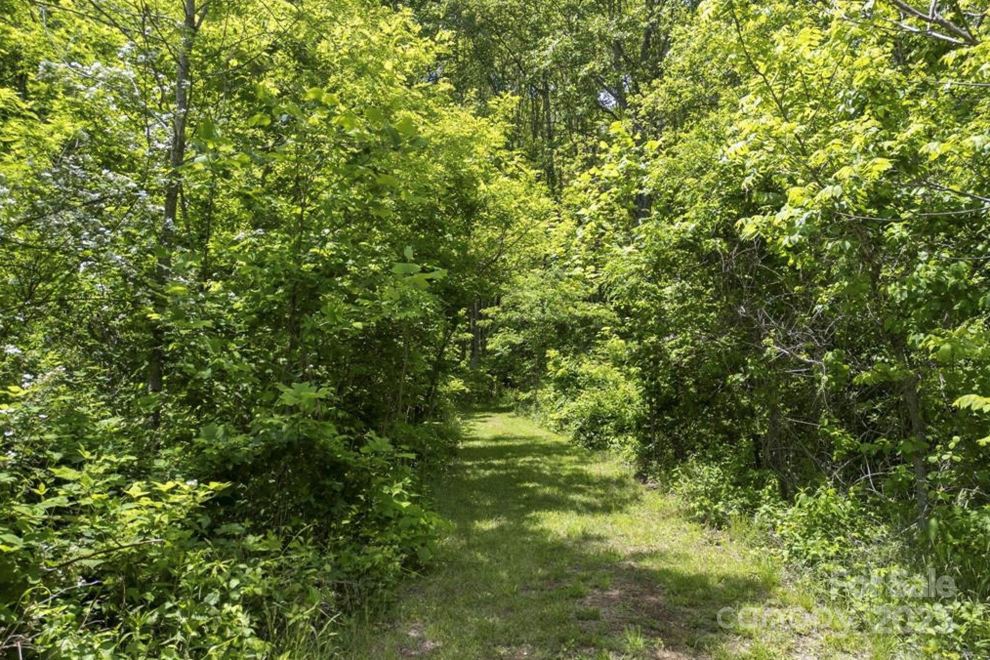 0 Cold Creek Road Canton, NC 28716 - Photo 8 of 22