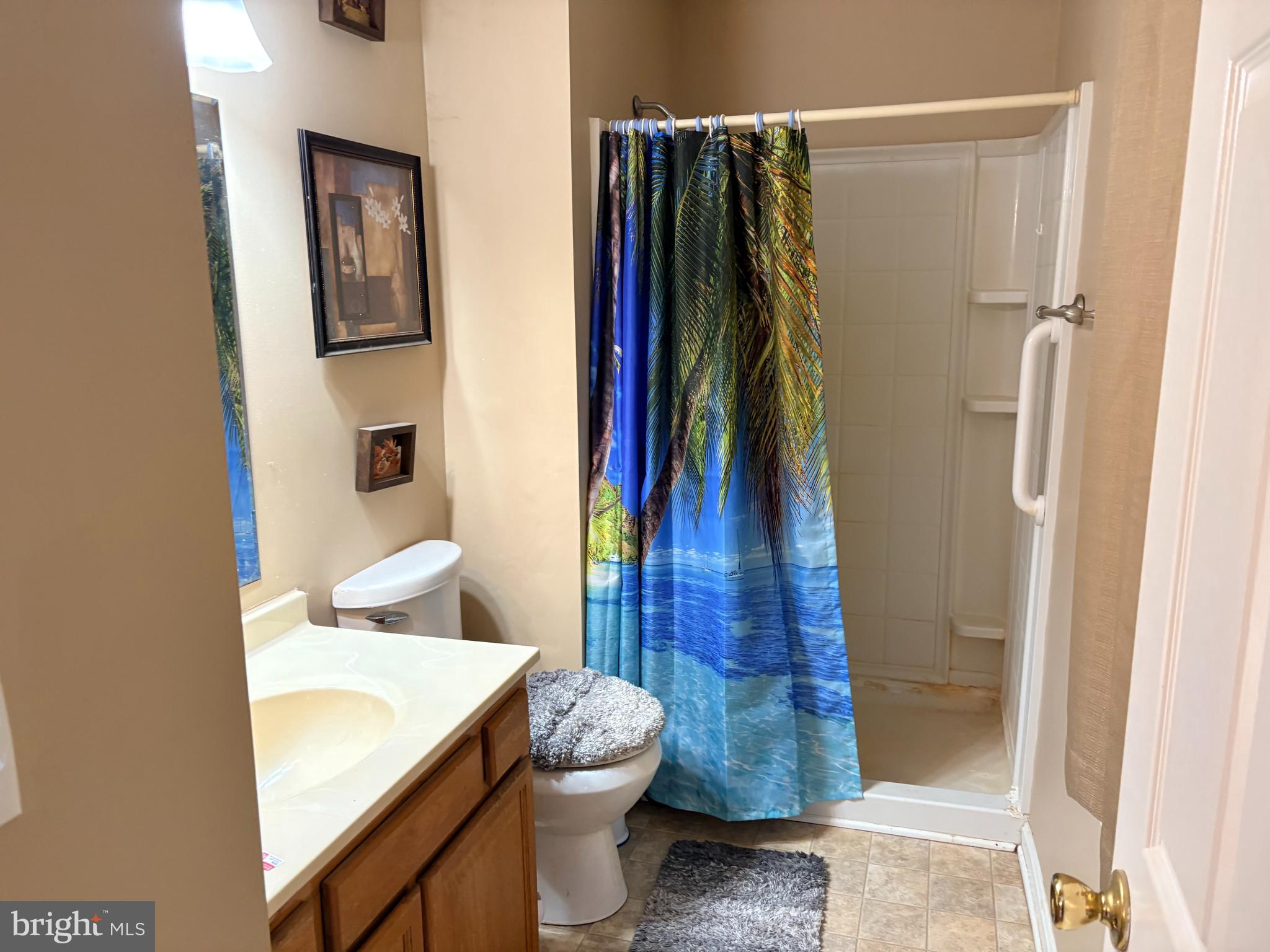 119 Darden Road Chestertown, MD 21620 - Photo 18 of 19 a bathroom with a sink toilet and shower
