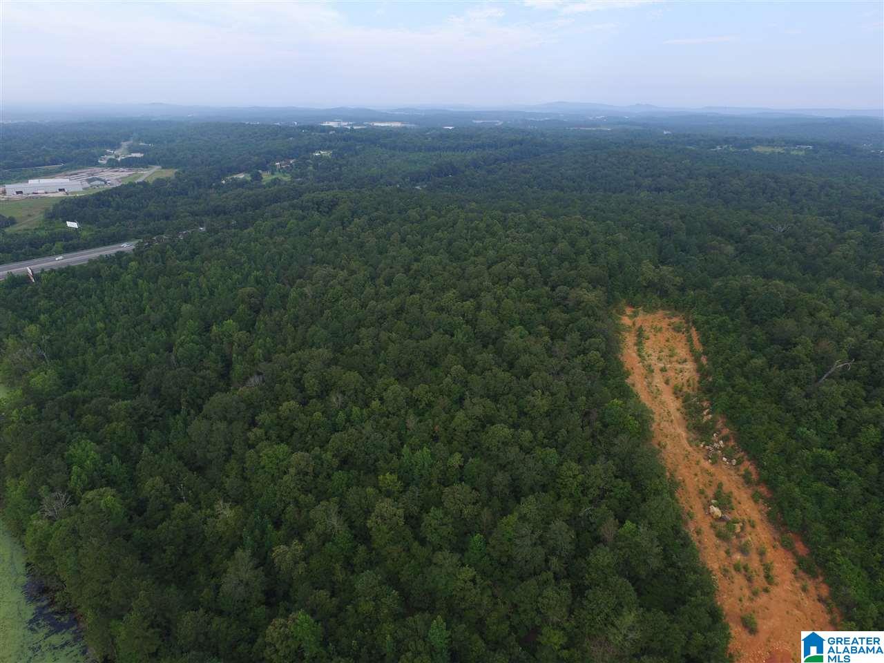 0 Morris Farms Drive Riverside, AL 35135 - Photo 15 of 18