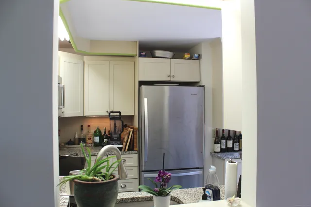a view of a refrigerator and a potted plant