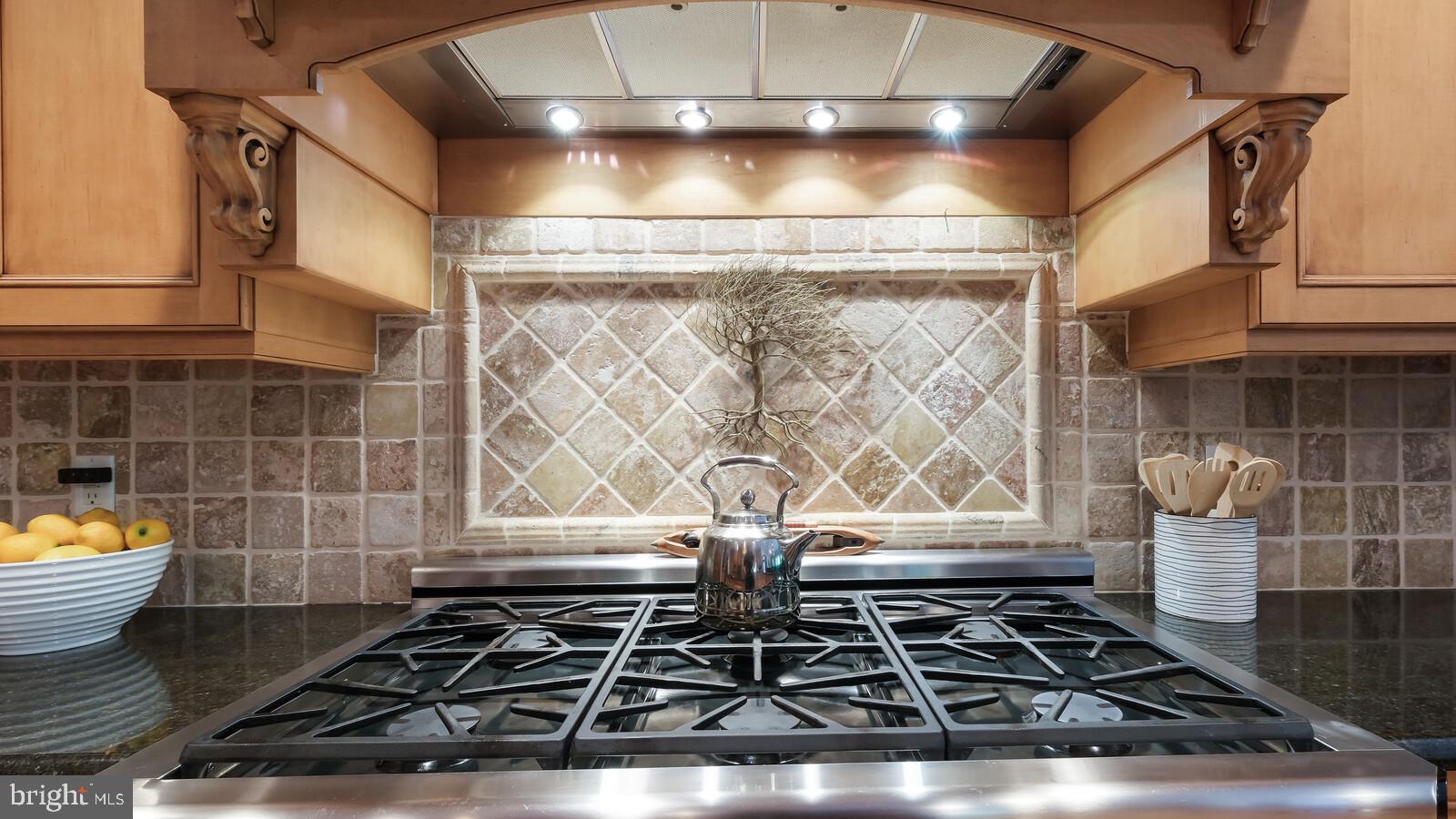 4812 Church Road Doylestown, PA 18902 - Photo 14 of 67 Six burner stove