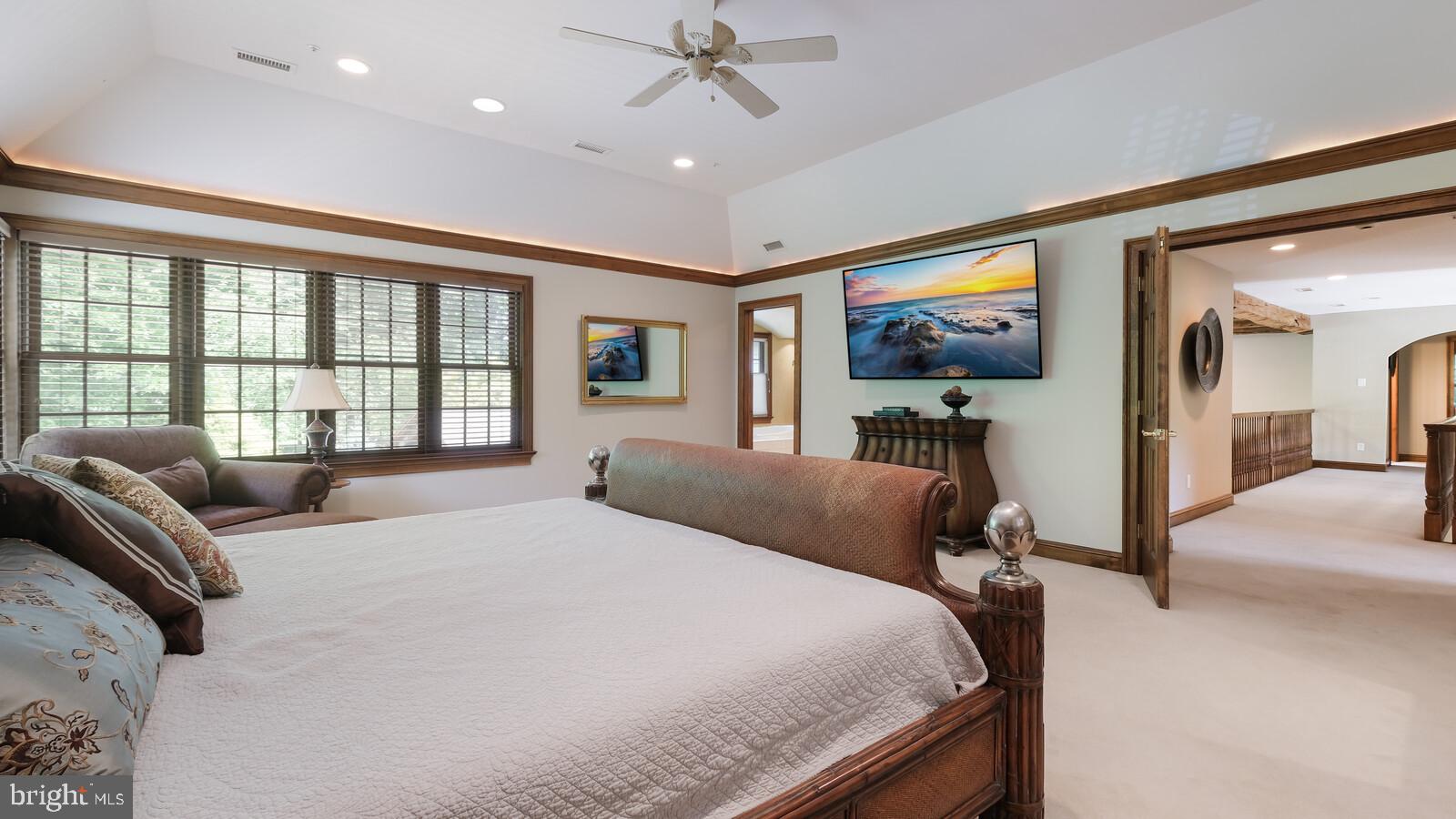 4812 Church Road Doylestown, PA 18902 - Photo 30 of 67 Tray ceiling and beautiful views