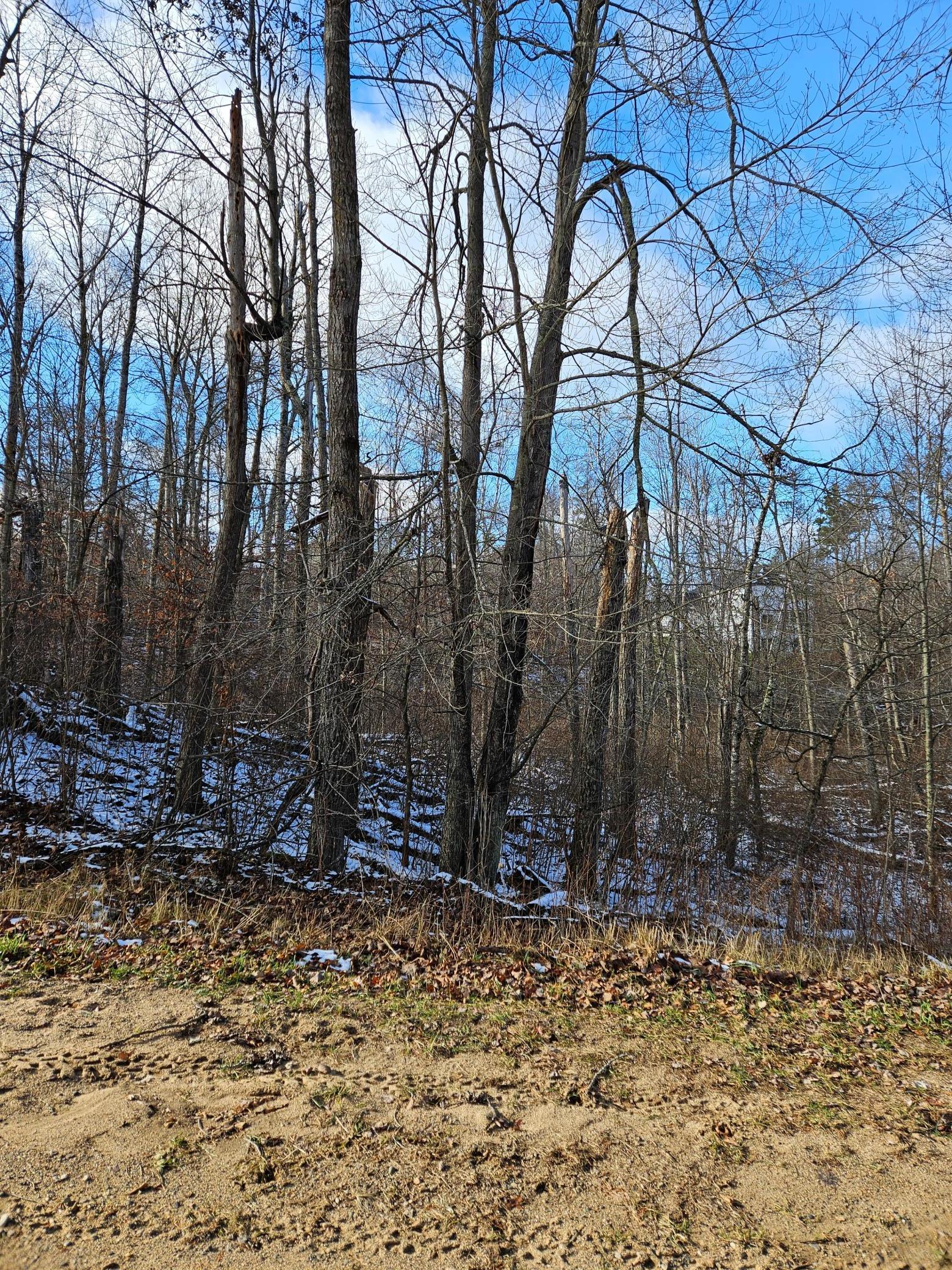 3-4 Raccoon Lane Breezy Point, MN 56472 - Photo 6 of 6